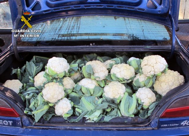 La Guardia Civil interviene más de cuatro toneladas de productos hortofrutícolas en un mercado de Murcia - 1, Foto 1