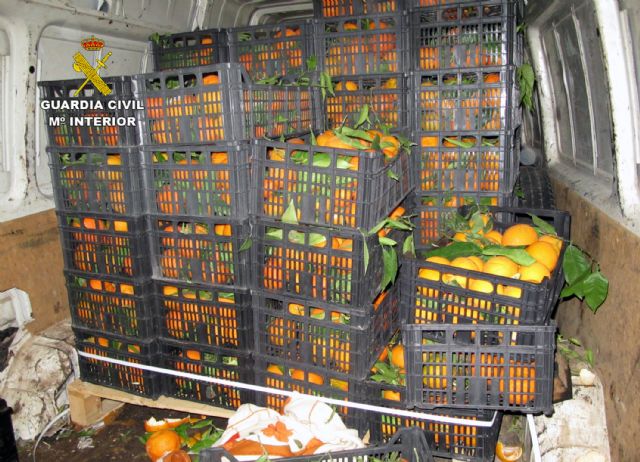 La Guardia Civil interviene más de cuatro toneladas de productos hortofrutícolas en un mercado de Murcia - 3, Foto 3