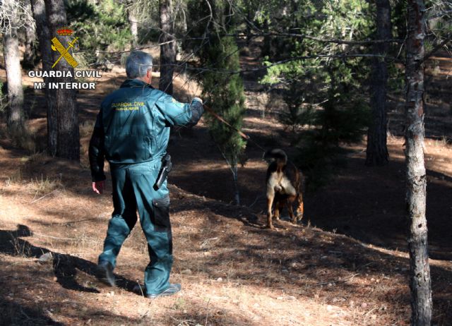 La Guardia Civil localiza y rescata a una pareja de senderistas en la sierra de Ricote - 2, Foto 2