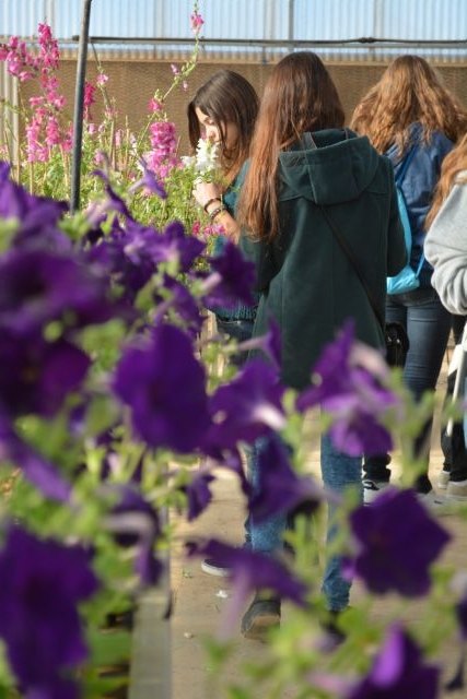 Un centenar de alumnos de instituto recorren la Estación Experimental Agronómica Tomás Ferro - 3, Foto 3