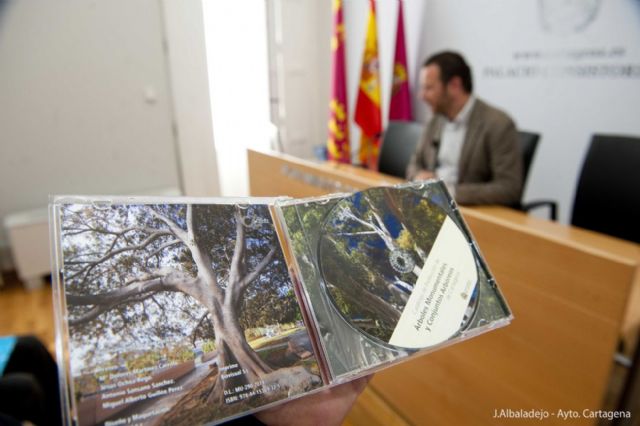 Los árboles más singulares de Cartagena se recopilan en un catálogo - 5, Foto 5