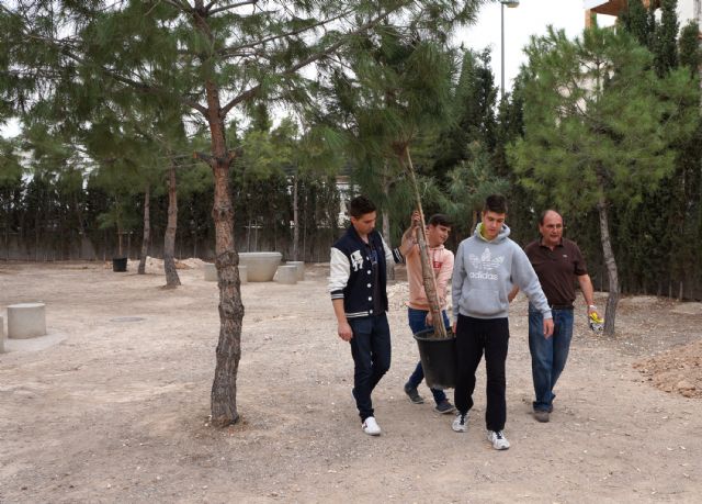 Alumnos del IES Salvador Sandoval torreño participan en una plantación de árbolado - 3, Foto 3