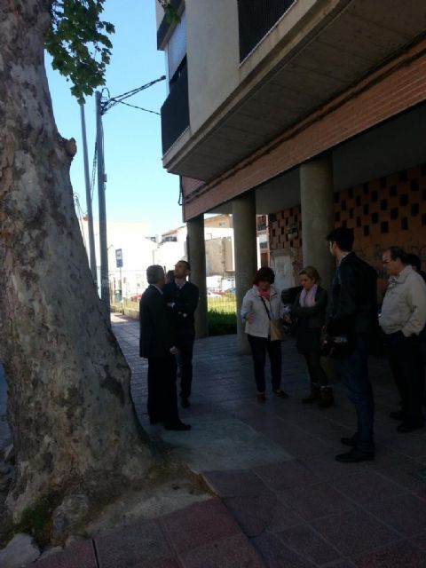 Informes municipales llevan a Medio Ambiente a eliminar el plátano de la Avenida del Progreso - 2, Foto 2