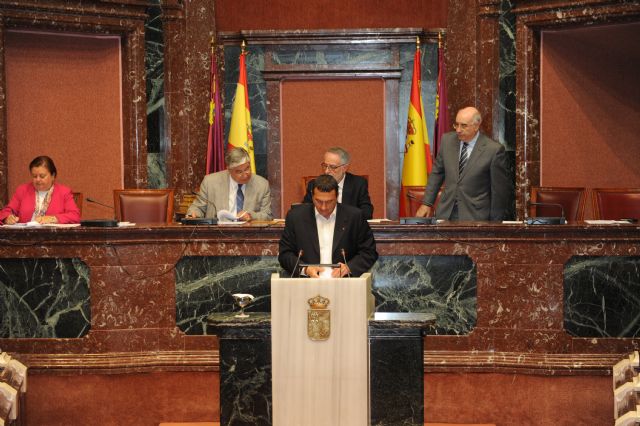 Vicente Balibrea Aguado, vicepresidente segundo de la Asamblea Segional - 2, Foto 2