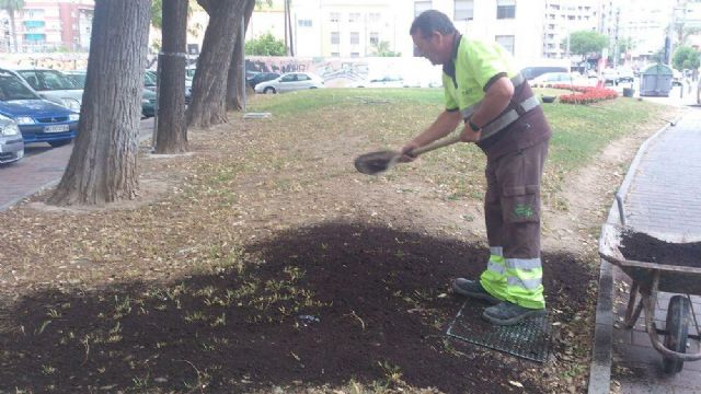 Medio Ambiente planta 800 begonias en parterres de la Avenida del Río - 3, Foto 3