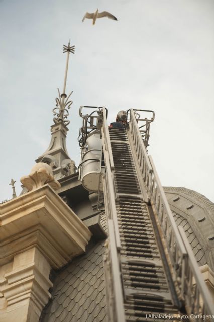 El Ayuntamiento se sirve de internet para incrementar su eficacia en el control de gaviotas - 2, Foto 2