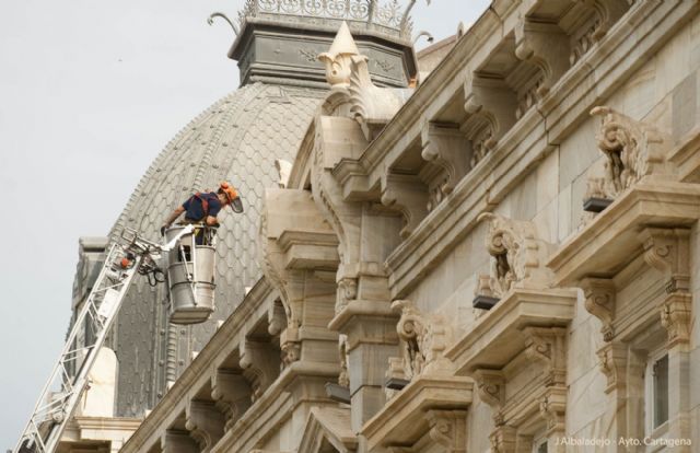 El Ayuntamiento se sirve de internet para incrementar su eficacia en el control de gaviotas - 3, Foto 3