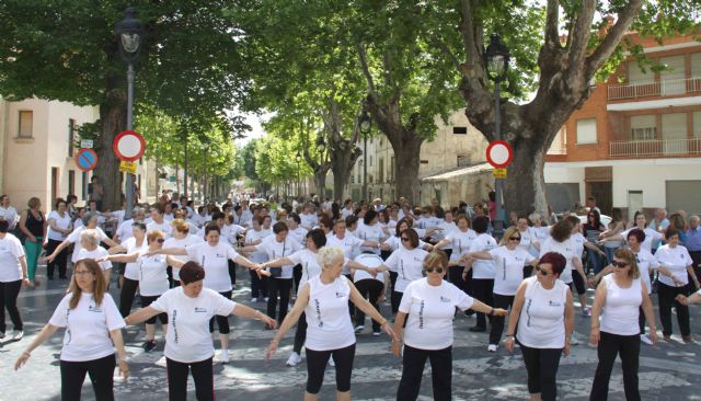 Programa de Gimnasia de Mantenimiento y Gerontogimnasia - 3, Foto 3