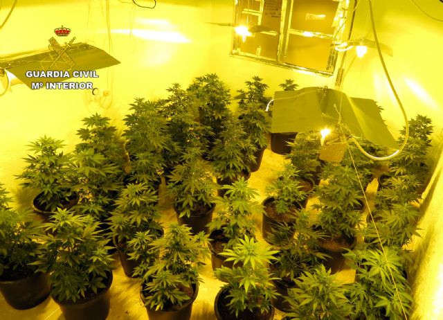 La Guardia Civil detiene a dos personas por delitos de cultivo y tráfico de marihuana - 1, Foto 1