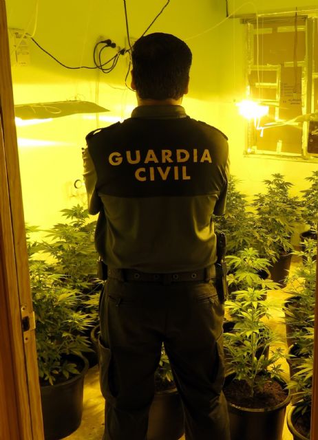 La Guardia Civil detiene a dos personas por delitos de cultivo y tráfico de marihuana - 2, Foto 2