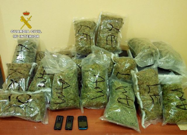 La Guardia Civil detiene a dos personas por delitos de cultivo y tráfico de marihuana - 3, Foto 3