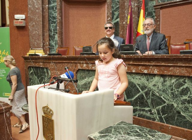 La Asamblea se suma a la reivindicación del día de la ilusión promovido por la ONCE - 1, Foto 1