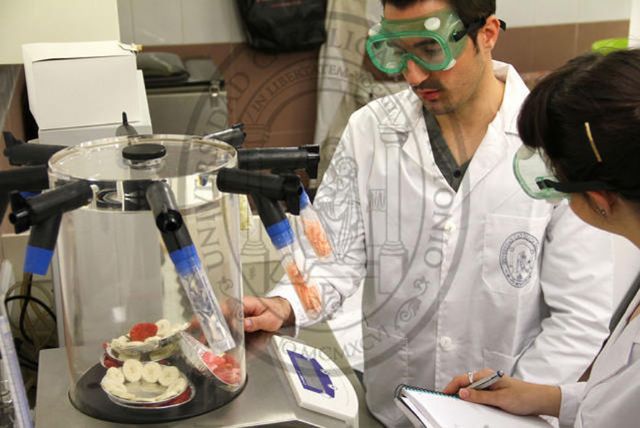 La UCAM, primera universidad de España en titulaciones reconocidas por la ANECA - 1, Foto 1