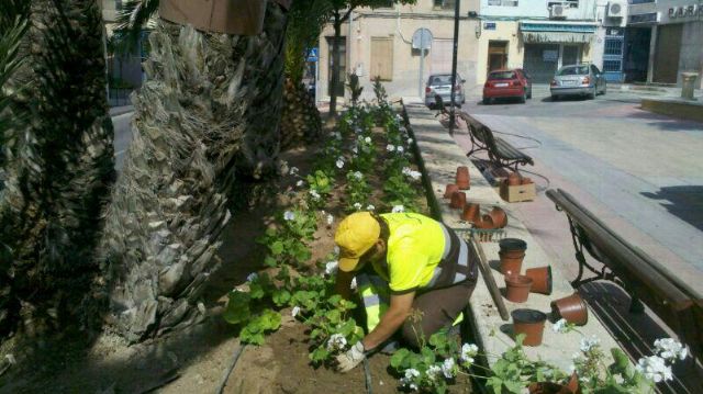 Medio Ambiente realiza la poda en altura en ejemplares de Murcia y El Palmar - 4, Foto 4