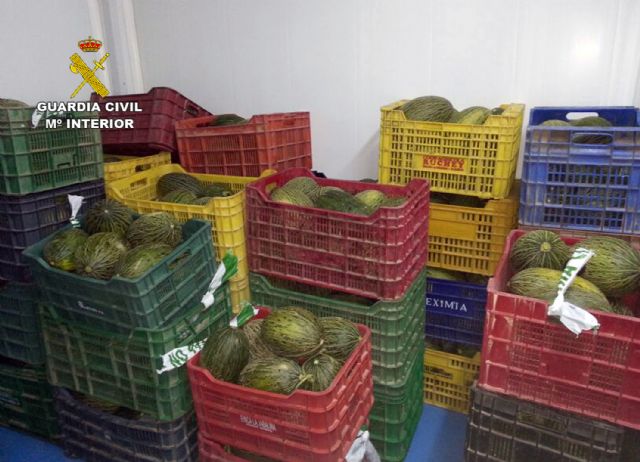 La Guardia Civil recupera en un mercadillo semanal de El Palmar-Murcia más de dos toneladas de fruta sustraída - 1, Foto 1