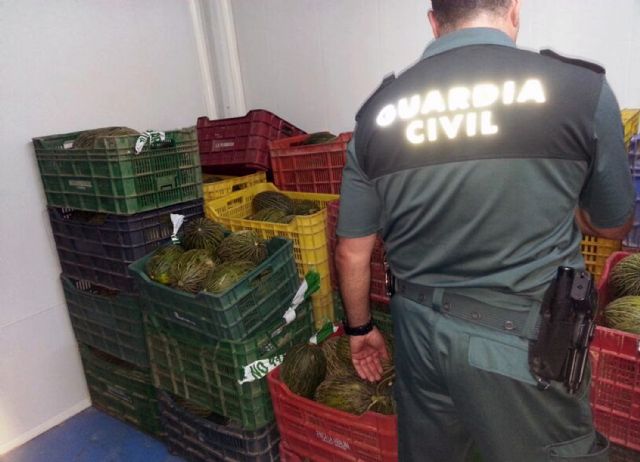 La Guardia Civil recupera en un mercadillo semanal de El Palmar-Murcia más de dos toneladas de fruta sustraída - 4, Foto 4