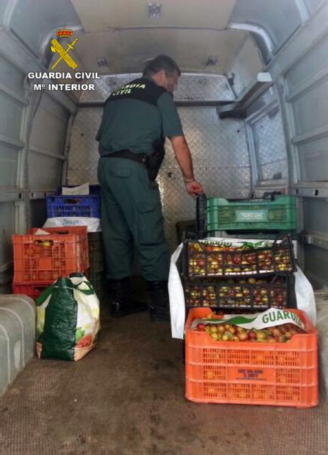 La Guardia Civil recupera en un mercadillo semanal de El Palmar-Murcia más de dos toneladas de fruta sustraída - 5, Foto 5