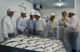 Murcia lidera el cultivo de dorada y lubina criadas en granjas de mar abierto