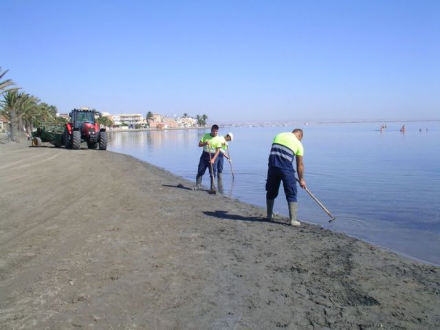 El Ayuntamiento mantiene servicios de limpieza especiales en Punta Brava y Los Urrutias para la retirada de medusas - 1, Foto 1