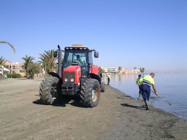 El Ayuntamiento mantiene servicios de limpieza especiales en Punta Brava y Los Urrutias para la retirada de medusas - 2, Foto 2