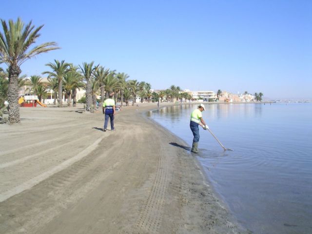 El Ayuntamiento mantiene servicios de limpieza especiales en Punta Brava y Los Urrutias para la retirada de medusas - 3, Foto 3