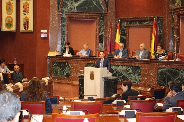 El Gobierno regional informará trimestralmente en la Asamblea de la ejecución de la Estrategia para la Creación de Empleo - 1, Foto 1