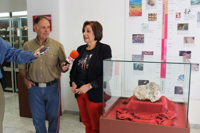 Cristales de yeso componen la pieza destacada del último trimestre del año en el Museo de Etnografía y Ciencias de Naturaleza - 2, Foto 2