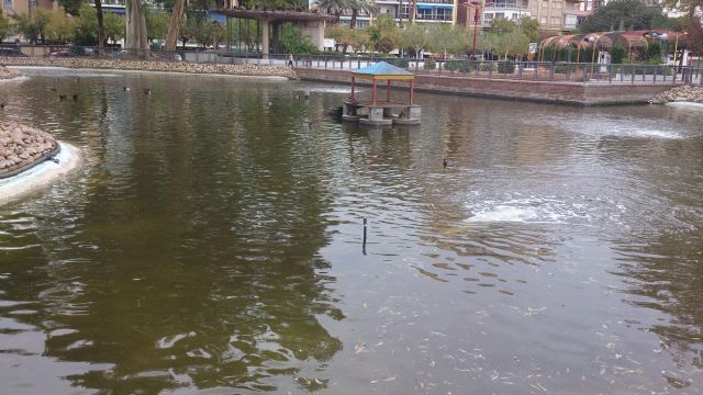 Medio Ambiente instala ahora el nuevo sistema de oxigenación de agua en el lago del jardín de Salitre - 2, Foto 2