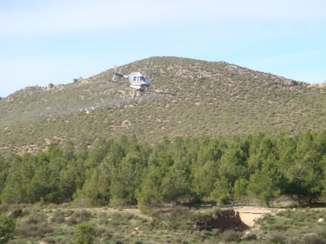 Medio Ambiente inicia los tratamientos aéreos contra la procesionaria del pino - 1, Foto 1