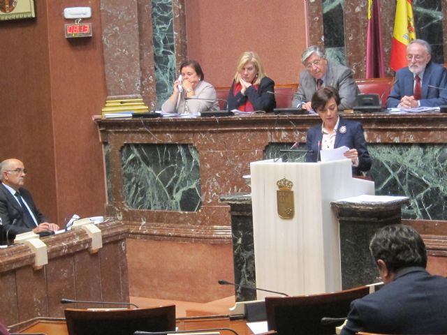 La Asamblea Regional aprueba por unanimidad la limitación del mandato presidencial a dos legislaturas - 1, Foto 1