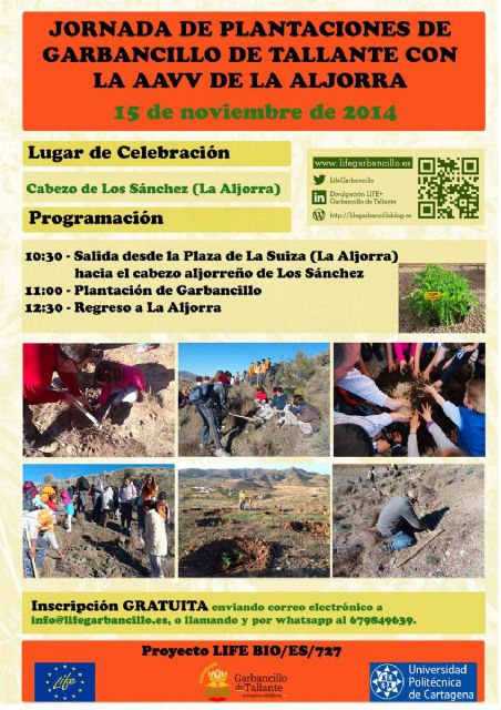 Continúa con más ocio el Noviembre Cultural de La Aljorra - 2, Foto 2