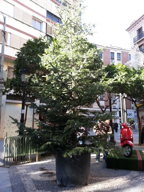 Un gran árbol de Navidad colgante lucirá desde esta tarde entre Santo Domingo y Trapería - 2, Foto 2