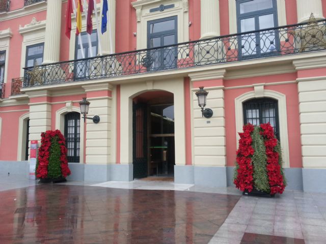 Flores de Navidad en la puerta del Ayuntamiento de Murcia - 1, Foto 1