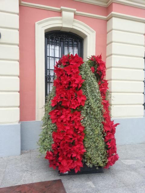 Flores de Navidad en la puerta del Ayuntamiento de Murcia - 3, Foto 3