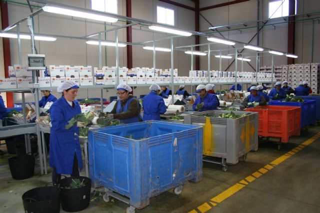 Una nueva empresa en el Polígono Industrial del Agua Salada da trabajo a más de 30 personas - 1, Foto 1