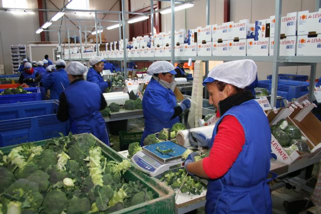 Una nueva empresa en el Polígono Industrial del Agua Salada da trabajo a más de 30 personas - 3, Foto 3