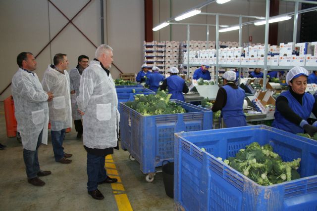 Una nueva empresa en el Polígono Industrial del Agua Salada da trabajo a más de 30 personas - 4, Foto 4