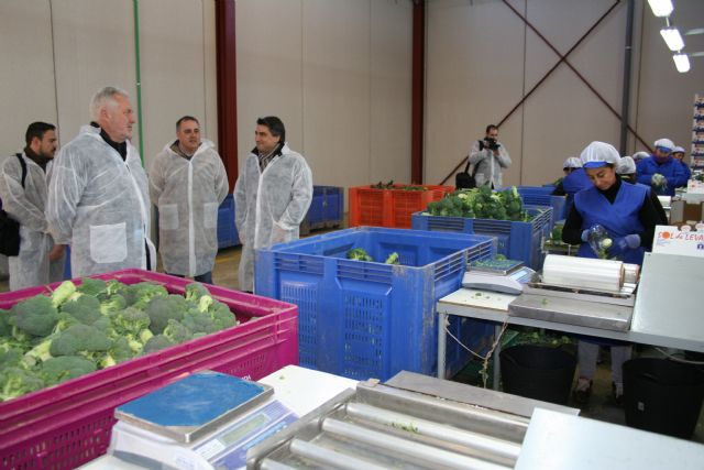 Una nueva empresa en el Polígono Industrial del Agua Salada da trabajo a más de 30 personas - 5, Foto 5