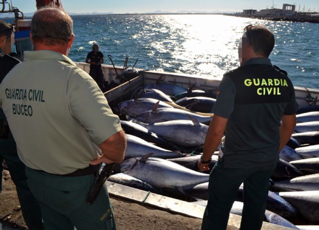 La Guardia Civil realiza cerca de 15.000 actuaciones en beneficio de la Comunidad Autónoma - 2, Foto 2