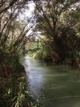 Medio Ambiente recupera la vegetacin autctona del ro Segura y desarrolla una Red de Custodia del Territorio