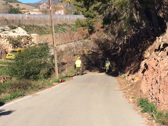 Protección Civil y la Brigada Forestal limpian el arbolado que ocupaba la vía en el Camino de los Mortolitos, Foto 6