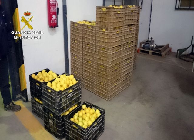 La Guardia Civil detiene a tres personas e imputa a otras dos por la sustracción de más de cinco toneladas de limones en Murcia y Lorca - 4, Foto 4