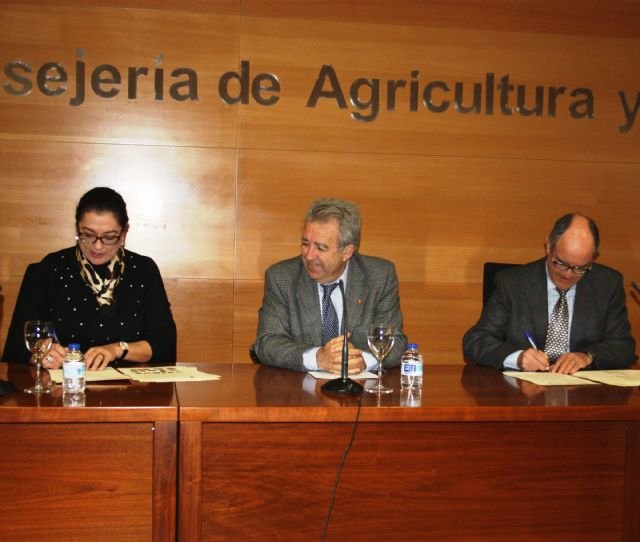 La Región incorporará nuevas variedades de uva de mesa sin semilla para ampliar los calendarios de producción y venta - 1, Foto 1