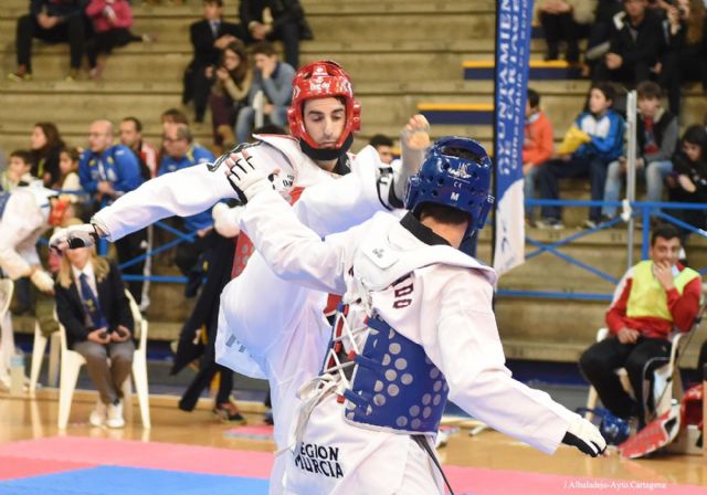 Taekwondo de gran nivel en el tatami del Pabellón Central - 2, Foto 2