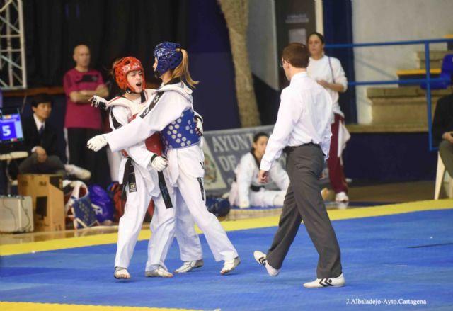 Taekwondo de gran nivel en el tatami del Pabellón Central - 3, Foto 3