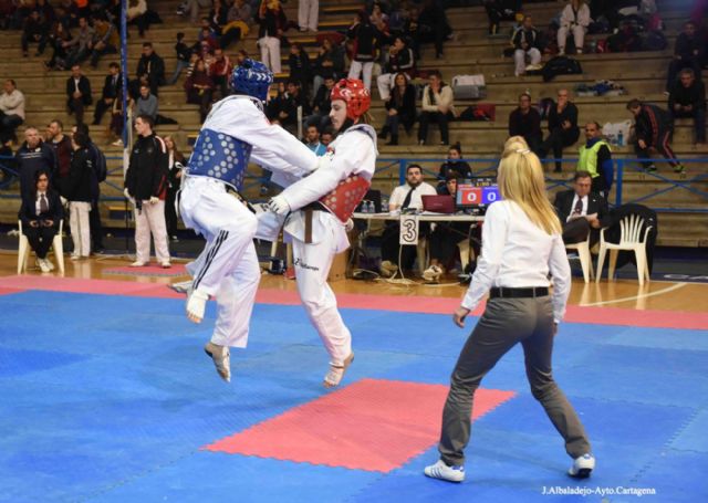 Taekwondo de gran nivel en el tatami del Pabellón Central - 4, Foto 4