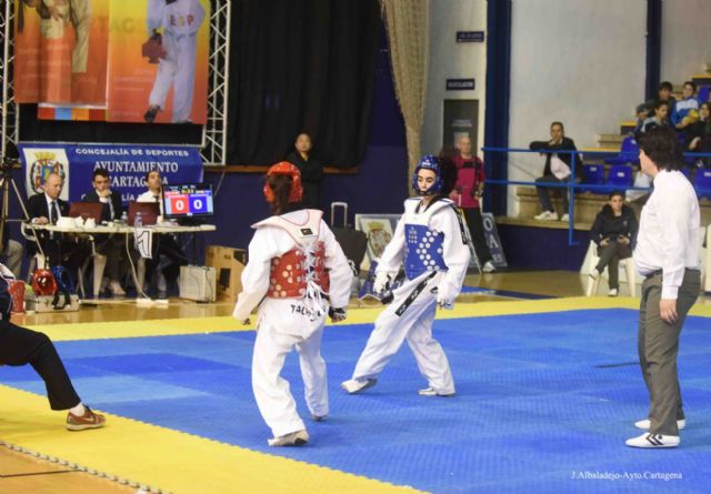 Taekwondo de gran nivel en el tatami del Pabellón Central - 5, Foto 5