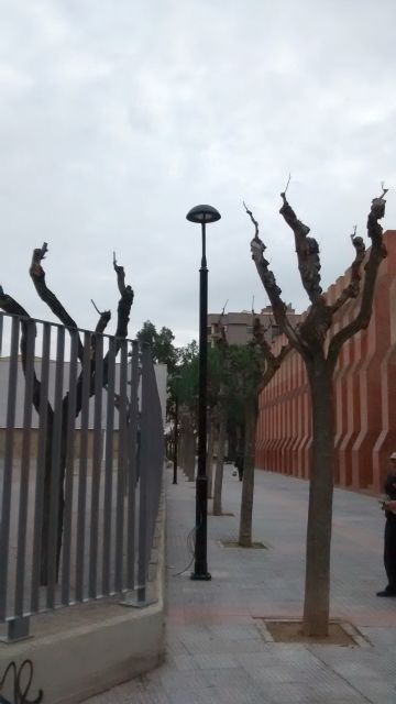 Calidad Urbana cambiará más de 500 luminarias en distintas avenidas, calles y jardines de la ciudad - 1, Foto 1