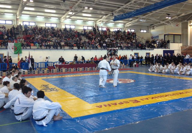 Puerto Lumbreras acogió el XXXV Campeonato de España de Kárate Shinkyokushinkai - 4, Foto 4