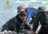 La Guardia Civil auxilia a un delfn varado en una playa de La Manga